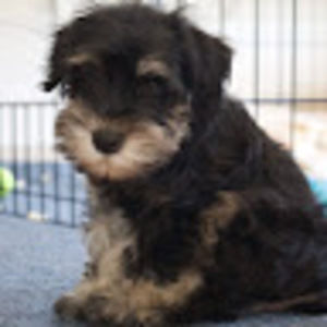 Meet your Posher, Ruth